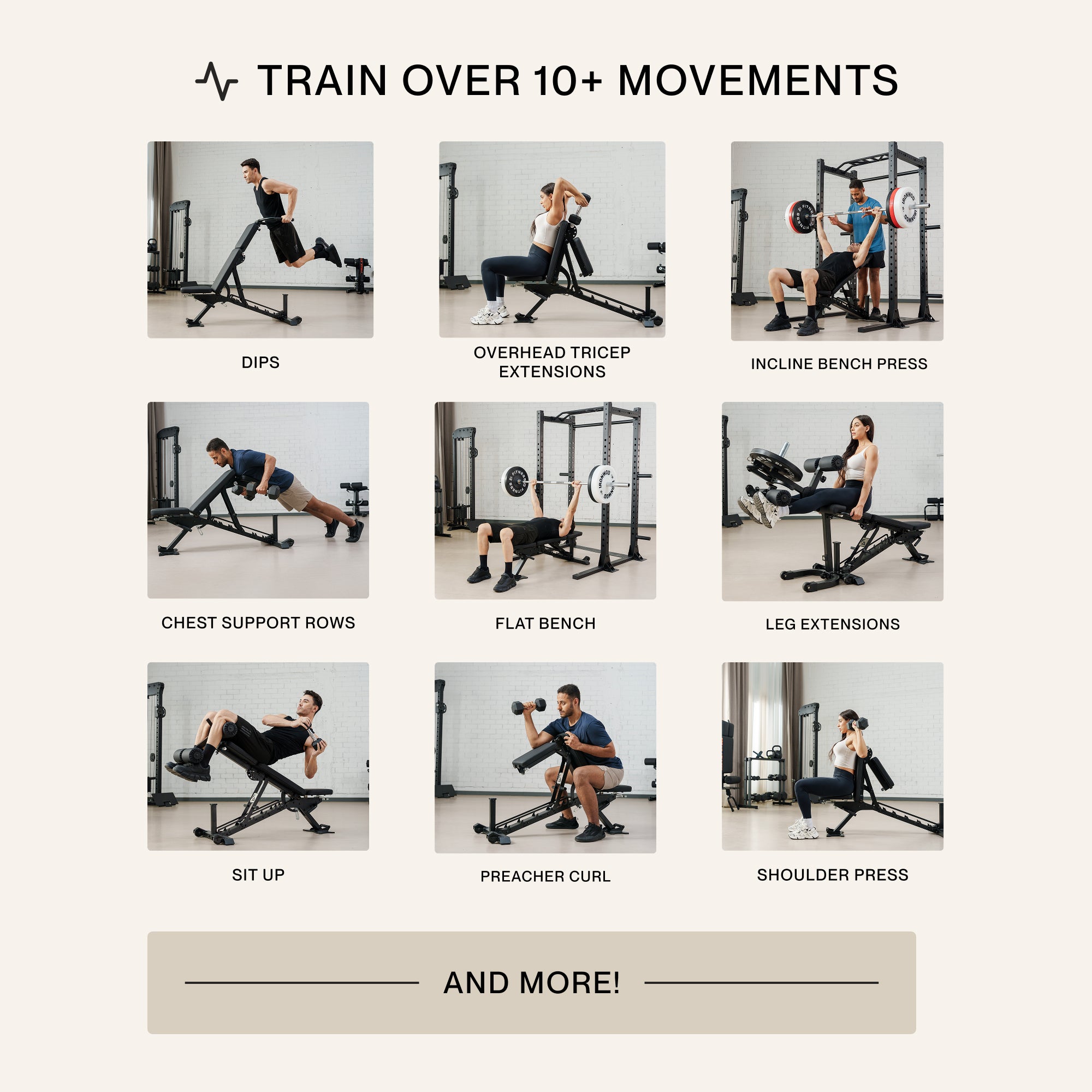 ABX Weight Bench