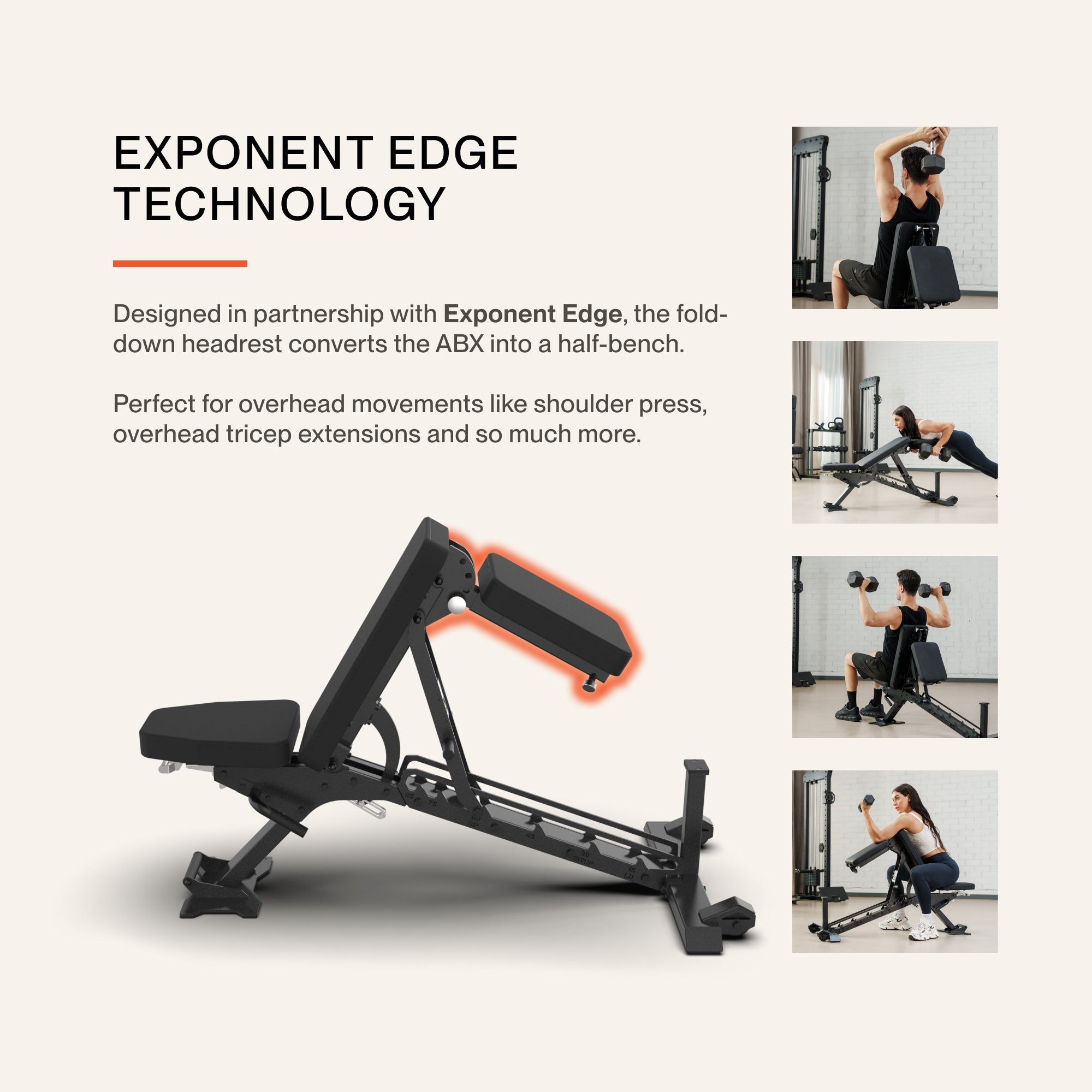 ABX Weight Bench